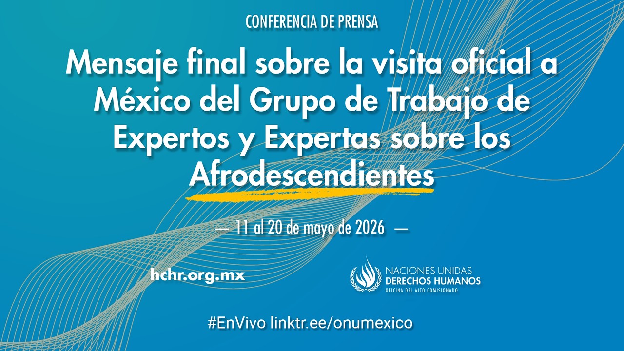 Conferencia de Prensa: Grupo de Trabajo de Expertos y Expertas sobre Afrodescendientes
