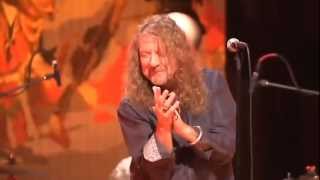 Robert Plant - Black Dog ( live 2012 )