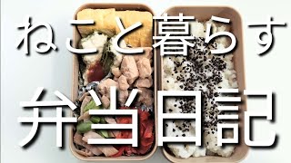 ねこと暮らす前日作り置き弁当日記です