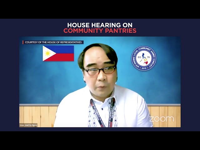 In House hearing, NTF-ELCAC questions Patricia Non’s ‘raised fist’ photo