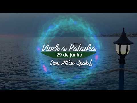 Evangelho do dia  29-06-2020
