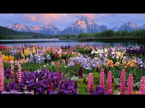 Cheryl Cole feat.  Will.I.Am. - 3 Words ( Steve Angello Remix )