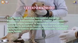 NASIL VETERİNER OLUNUR?