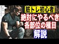 【筋トレ】初心者が絶対にやるべき各部位の種目を解説!