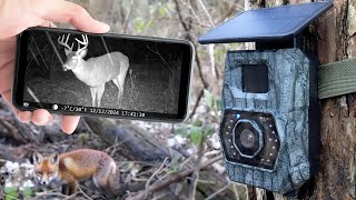 MAXDONE Solar Trail Camera w/ Bluetooth - Test & Review