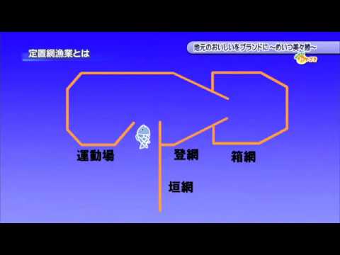 2020年5月2日(土)放送 「地元のおいしいをブランドに～めいつ美々鰺～」