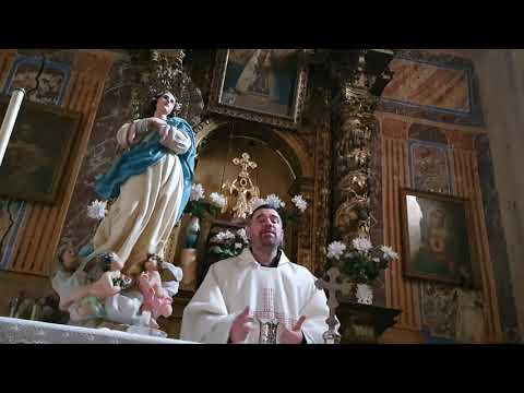 Thumbnail for pazko zortziurreneko ostirala (2021-IV-9) ZARRANTZ