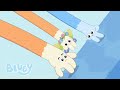 Kild Kæmpebjerget De Blå Bjerge Bluey