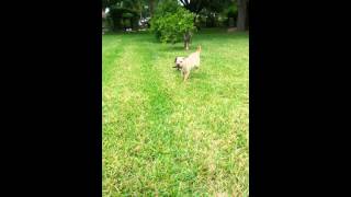 Fiona "looking" for me.