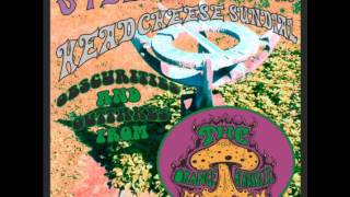 The Orange Alabaster Mushroom - (We Are) The Orange Alabaster Mushroom (acoustic demo)