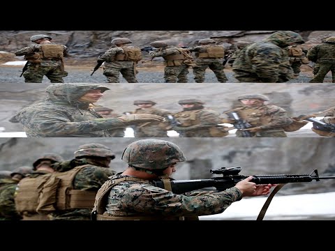 Exercise Cold Response 22 Live-Fire Range