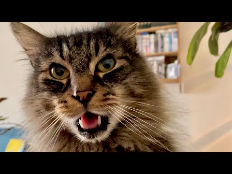 Half time treats for Eric