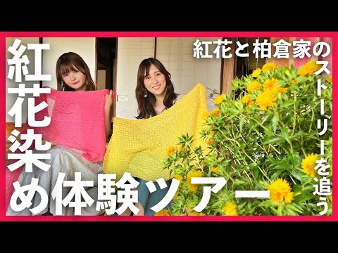 紅花と柏倉家のストーリーを追う紅花染め体験ツアー　Official Tour Video