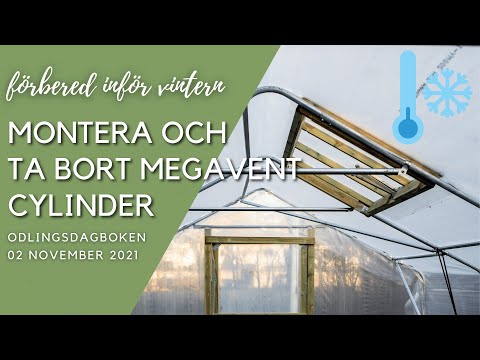 Montera och ta bort Cylinder på megavent - Odlingsdagboken 2021-11-02