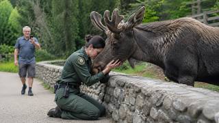 Times When Animals Reunited With Owners After Years!