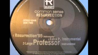 Common Sense - Resurrection (Extra P Remix) (Instrumental)