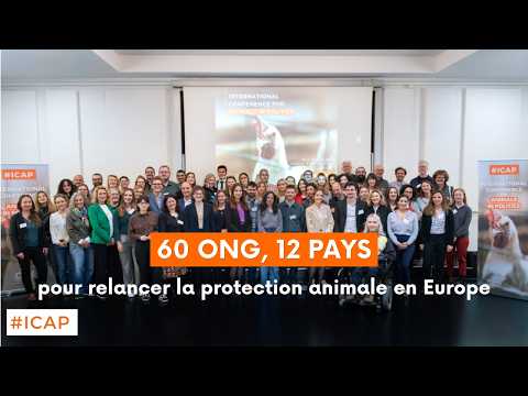 CAP réunit 60 ONG de 12 pays à Paris pour défendre la protection animale en Europe
