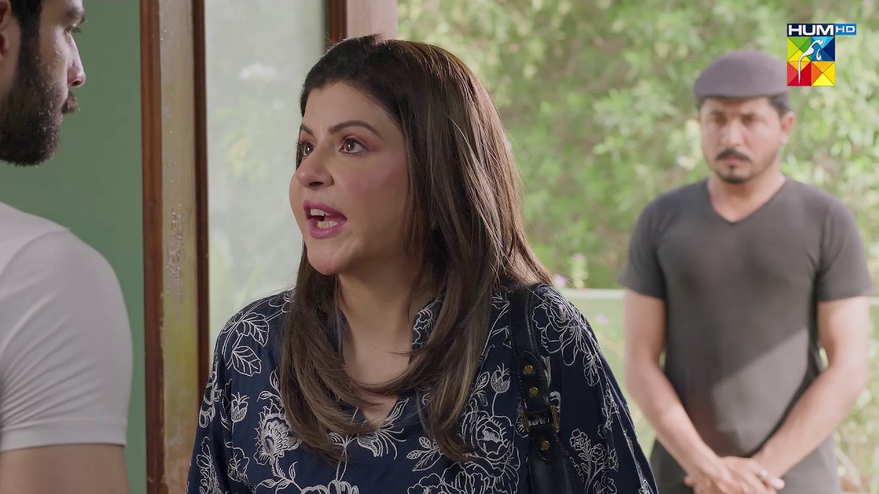Itni Asaani Se Tum Mera Peecha Nahi Chhor Sakte..! Deewar [ Sunita Marshall & Ali Abbas ] HUM TV
