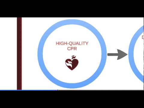 8. PALS - Life-Threatening Issues