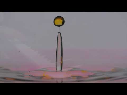 The Last Days (2017) - Zao Van den Brempt