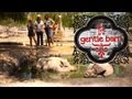 A Trip To The Gentle Barn With Disney Star Sierra McCormick