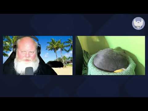 Tall Blonde Shooting Suspect, Sugar Daddy, Poisonous Lover, Abusive Husband, Airport Trouble