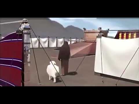 Sin offering animation by Joseph Prince