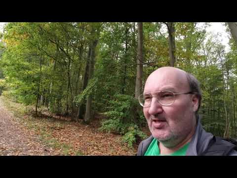 MongoTV_7391 - ENGLISH VLOG - Have a Good Sunday