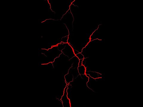 ± WTCHCRFT ft  Bones X Foxwedding   Alone ±