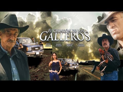 El Chingon de los Galleros | MOOVIMEX powered by Pongalo