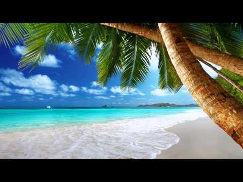 O.B.M Notion Vs. Mostfa & Mostfa - Caribbean (Original Mix) [Beyond The Stars]