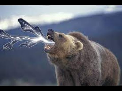 ap volibear is perfectly balance