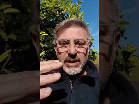 Evangelio del Nuestro Señor Jesucristo Con el Padre Fabian Esteban Oliva. 09/07/26