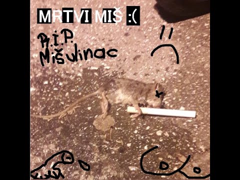 Masne Sise - Mrtvi Miš