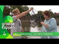 Groene Koppen 23 september 2020