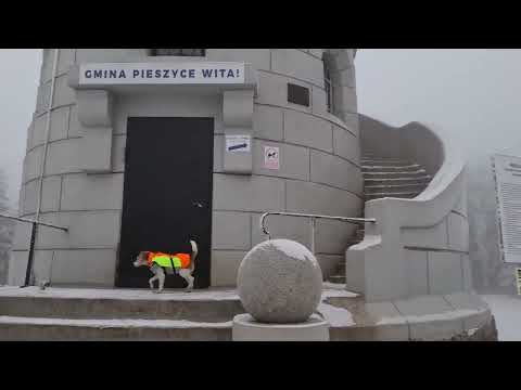 20.11.2025 Kamionki - Wielka Sowa 