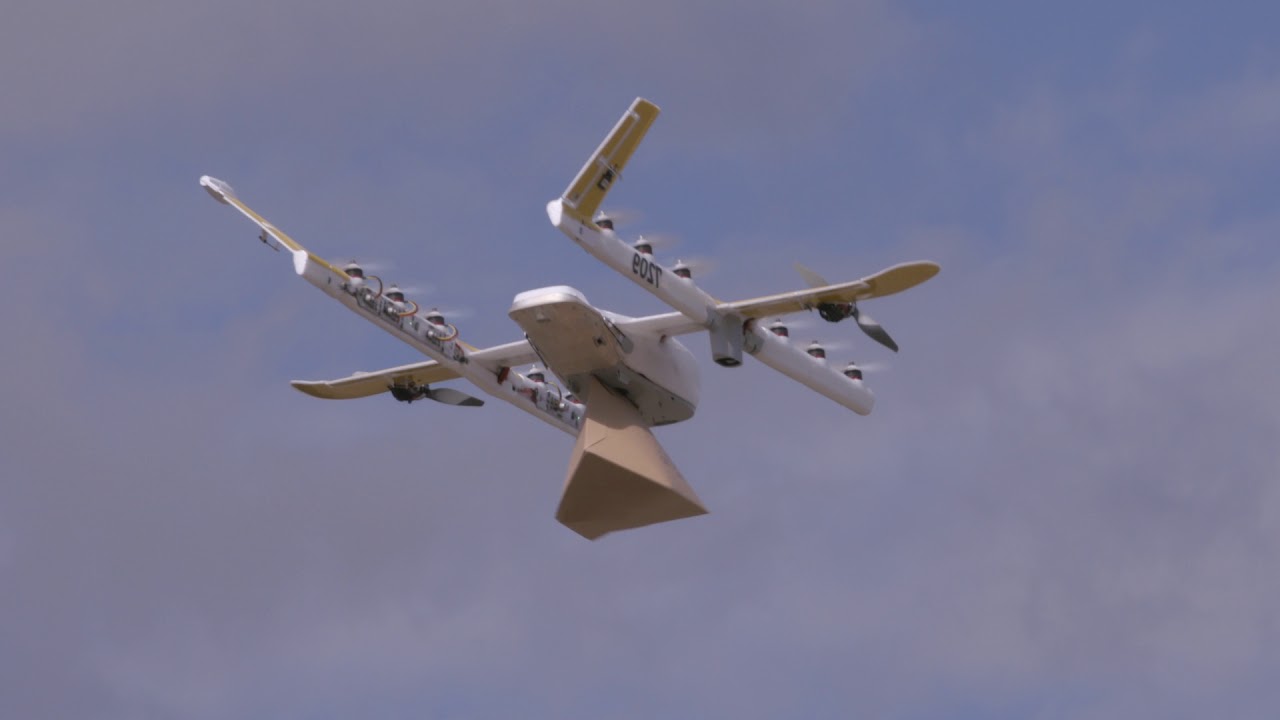 Google Home Mini and Wing