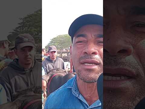 Cultura e tradição na feira do gado em Cachoeirinha_PE