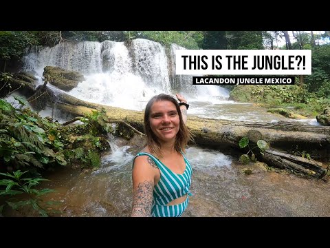 Exploring the Lacandon Jungle in Mexico! (Hidden Waterfalls, Mayan Ruïns and Adventure)
