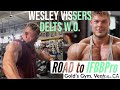 Wesley Vissers oldschool delt/ shoulder workout at Gold's Gym - Road To IfBB Pro at North Americans
