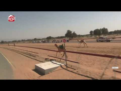  ش 2 (سياده) لـ الشيخ حمدان بن محمد بن راشد ال مكنوم 13:23 ، شارة الديوان 2026/2/21 ثنايا السوان