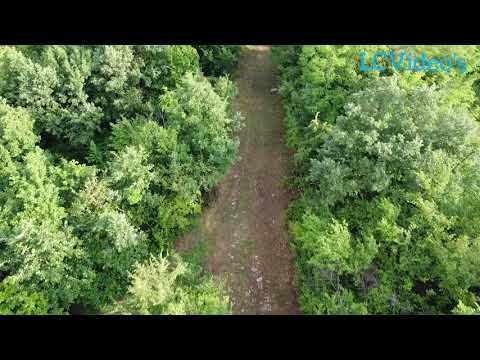 Drumul Roman - Monument istoric - Oraș Geoagiu  - județ Hunedoara/ Filmare drona