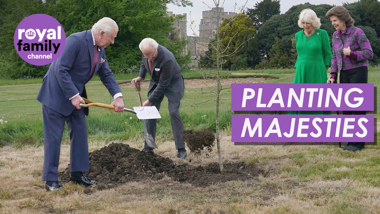 Król i królowa posadzili dąb w Wielkiej Brytanii