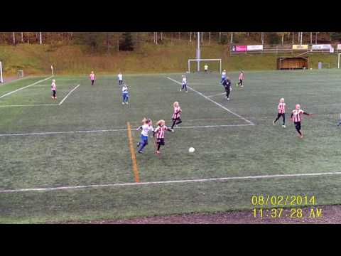 YLLÄTYS T05- LAPA95 4