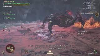 自由人達のワイルズ