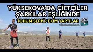 Yüksekova'da Çiftçiler Şarkılar Eşliğinde Tohum Serpip Ekim Yaptılar
