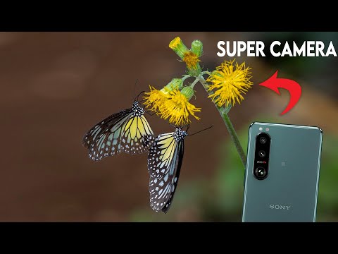 Sony Xperia 5 iii Camera Test - Super Camera