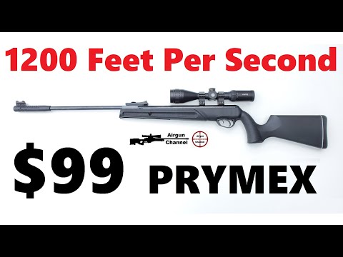 Testing Pyramyd's CHEAPEST Break Barrel Air Rifle (Umarex PRYMEX) Review in .177 or .22