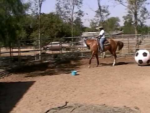 Clue Dun It - Part 3