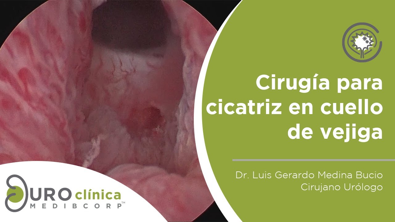 Luis Gerardo Medina Bucio-28